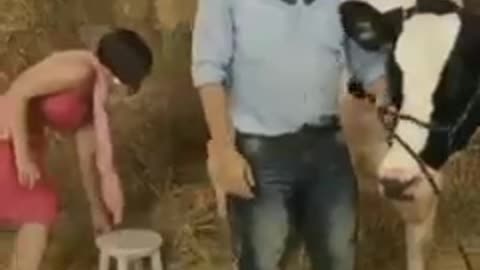 Leite ou hambúrguer?