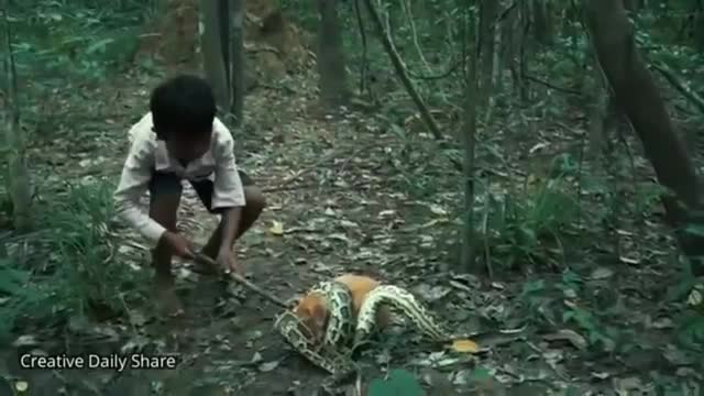 Brave Boy Rescue a Dog from Anaconda