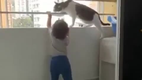 protective kitten