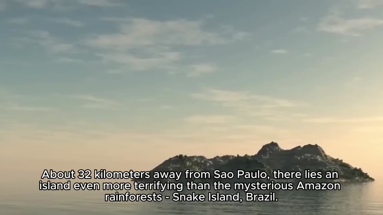 Snake Island in Brazil