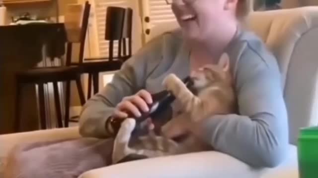 Cat insists on its owner to drink 😁 funny reaction