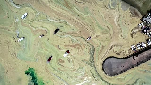 Boats docked at Jupiter-like shore covered with sea snot