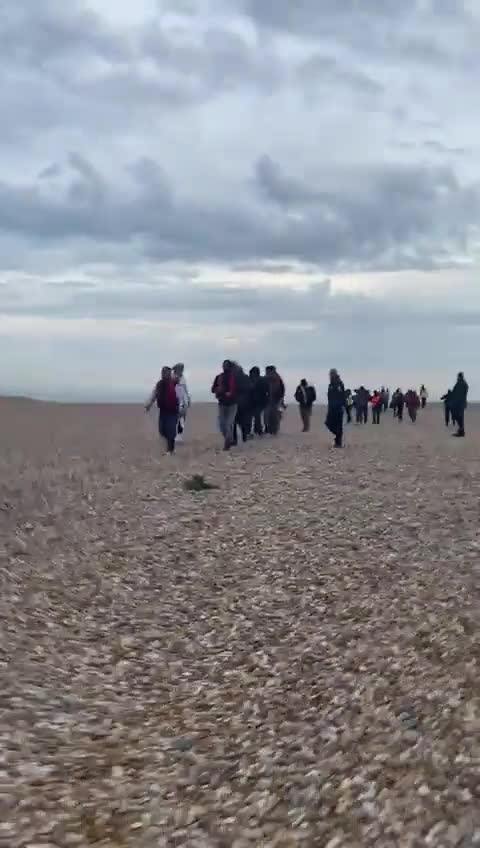 This Isn't Immigration - It's An Invasion