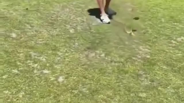 anomalous golf game