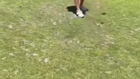 anomalous golf game