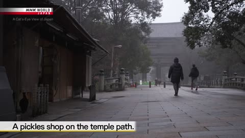 Nara's Todaiji Temple: Deer and Cats - A Cat's-Eye View of Japan