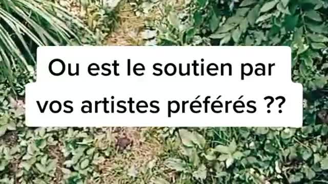 Où est le soutien par vos artistes préférés ??