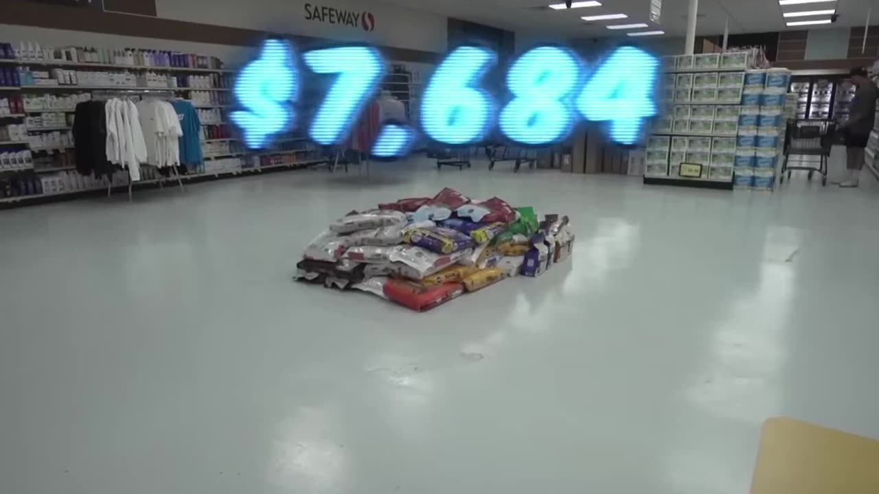 10,000 Worth of Dog Food Challenge! Can I Really Eat This_