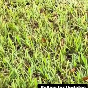 Ok so it’s starting to make more and more sense