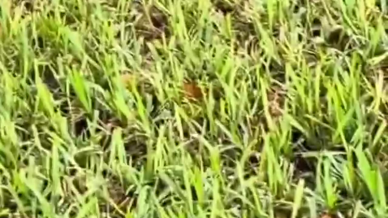 Ok so it’s starting to make more and more sense