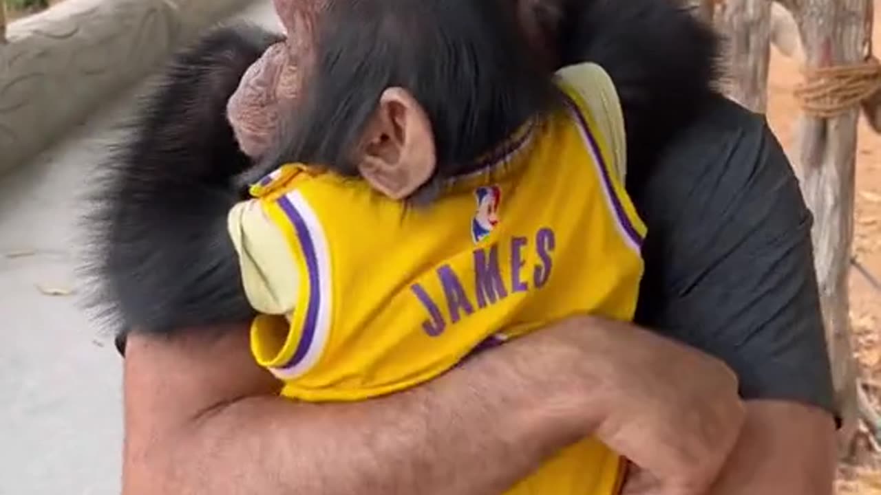 “Monkey Hugs: When a Playful Primate Can’t Wait to Embrace You!”