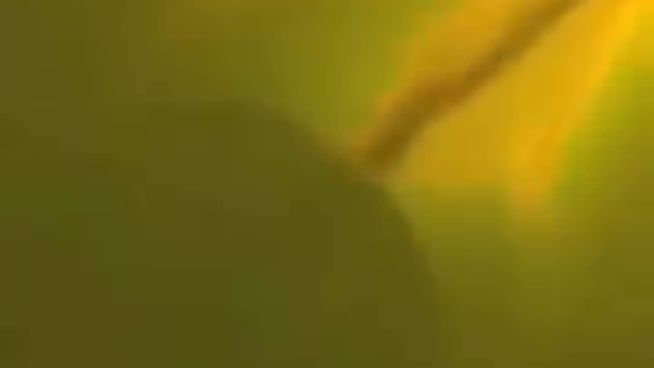 Alien Ship Fueling Up At The Sun