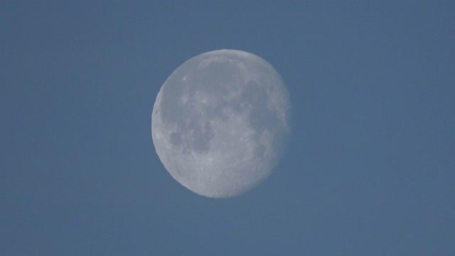 Zoom in on Moon while Seagull Flies By