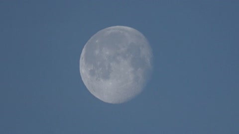 Zoom in on Moon while Seagull Flies By