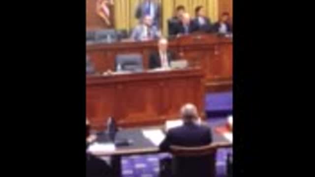 Louie Gohmert Diamond and silk hearing