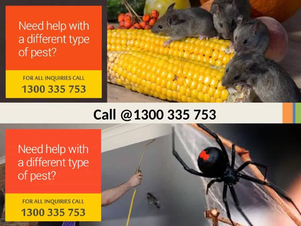 Marks Pest Control Melbourne