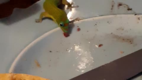 My new friend