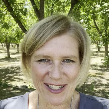 Gratitude Trees and Leaves