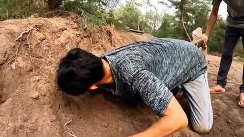 Catch 100 snakes