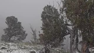 Thunderstorm Brings Down Heavy Snow