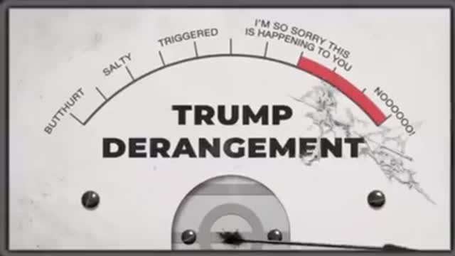 This is how leftist view President Trump