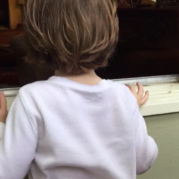 Puppy Plays Peek-A-Boo With Toddler