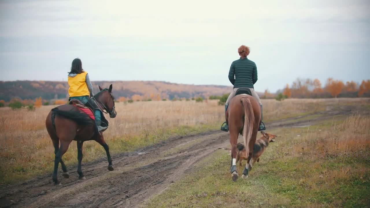 Two women are riding horses on the autumn field