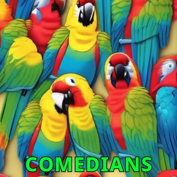 Parrots Mimicking Funny Sounds
