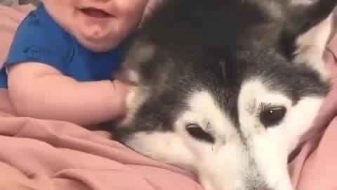 30 months relationship | Husky | Baby