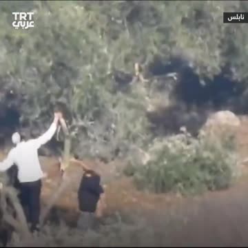 israeli settlers terrorism