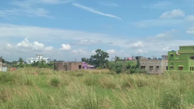 Early Autumn in West Bengal