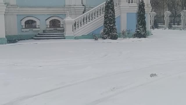 Kharkiv Ukraine 5.03.22 Snow and Sounds