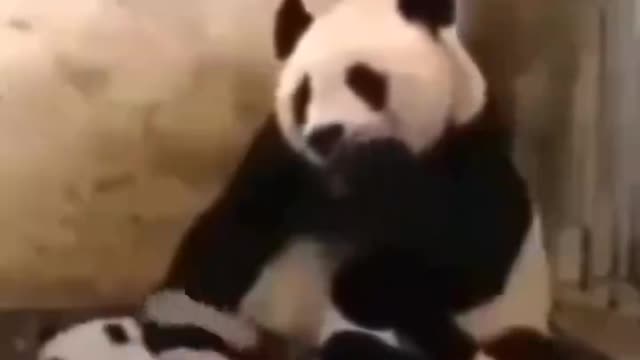 WTF moment