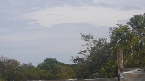 Airbus A320 PR-MAK vindo de Guarulhos para Manaus