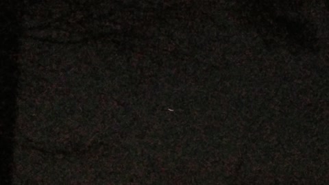 Bright satellite passing overhead Memphis Tennessee