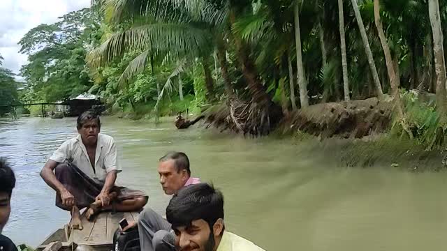 Guava Orchard Barisal, Bangladesh