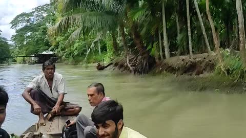 Guava Orchard Barisal, Bangladesh