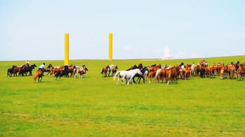 Men are riding on horses and chasing each other