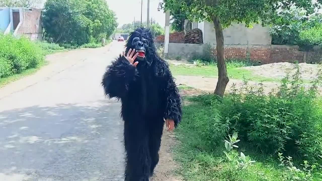 Fake Gorilla vs Dog Prank Funniest Dogs Scared TRY TO NOT LAUGH Raipuriya Pranker