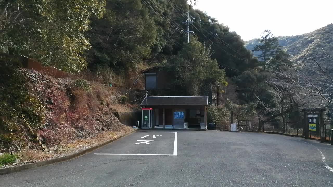 Nature in Japan #1