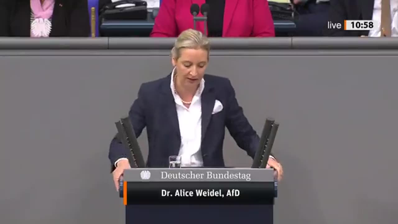 Alice Weidel am 28.11. im Bundestag