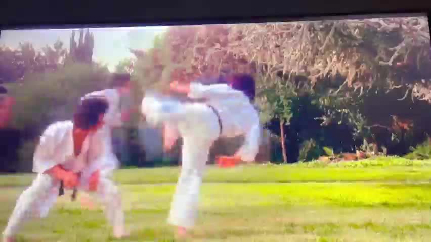 Grand Masters Phillip & Simon Rhee