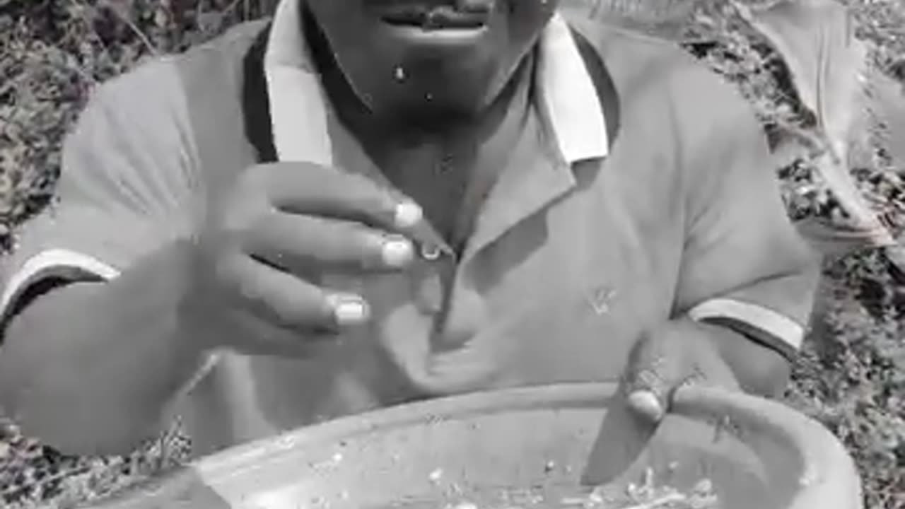 TMA ትግርኛ ሚድያ ኣከለጉዛይ ተዘናግዑ ንፍሽኽታ ቁ,2