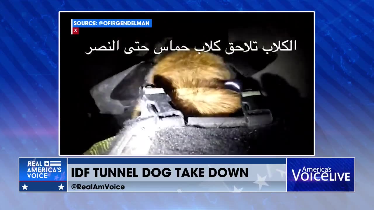 IDF TUNNEL DOG TAKE DOWN