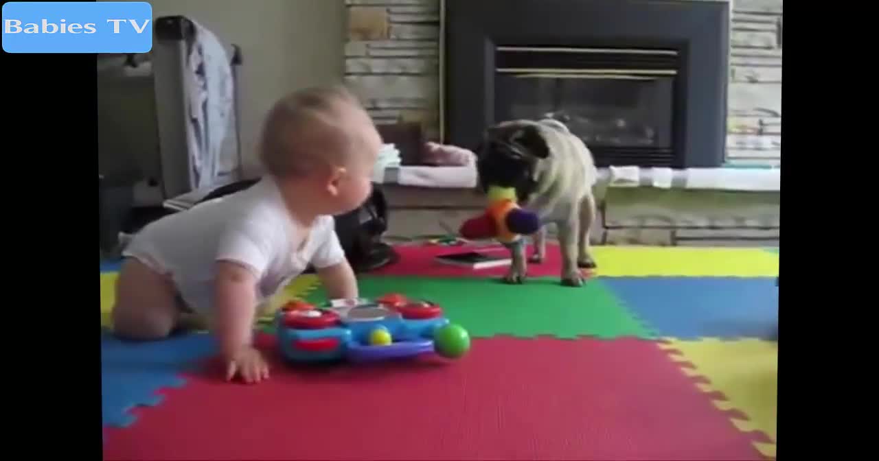 Funny Babies Funny Videos Funny Baby Laughing compilation 2015