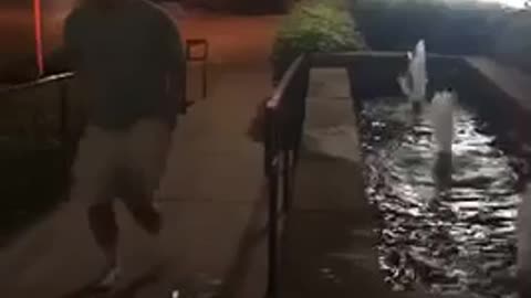 Guy takes off shorts and belly flops into fountain at night