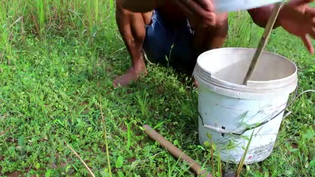 Simple Wild Cat trap using Plastic Container