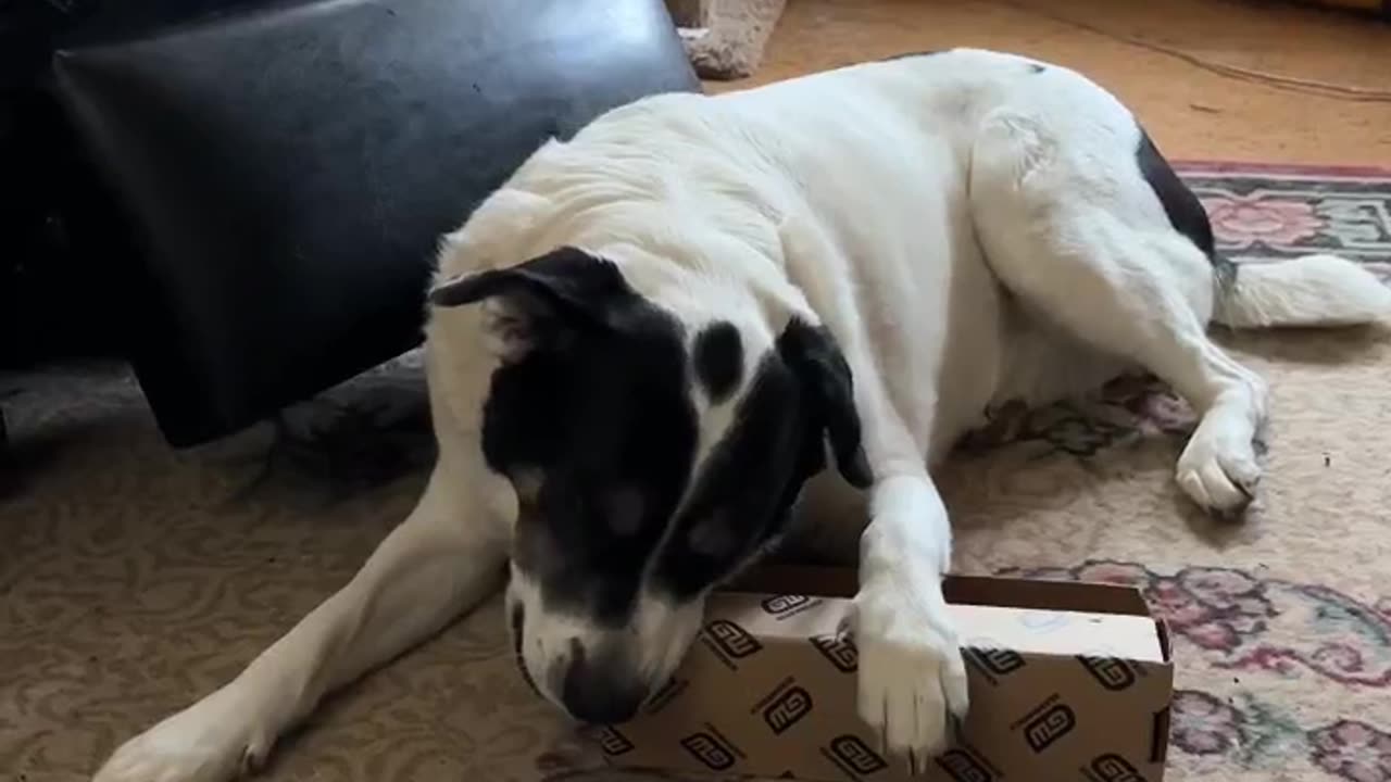 My 5yr old girl trying to entertain herself while it’s raining