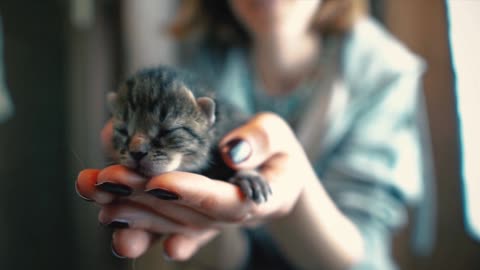 Adorable unopened kitten in women's hand.