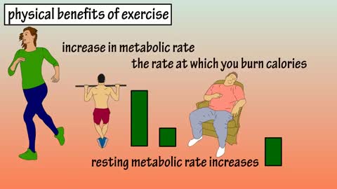 How Excercise Can Help Your Healt?